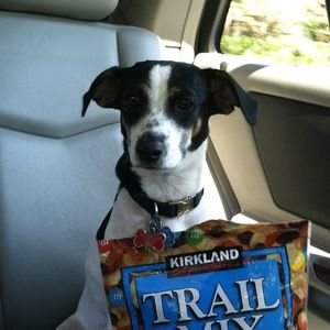 Meet your Posher, Camille